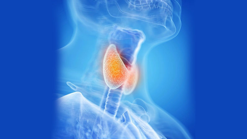 thyroid-image